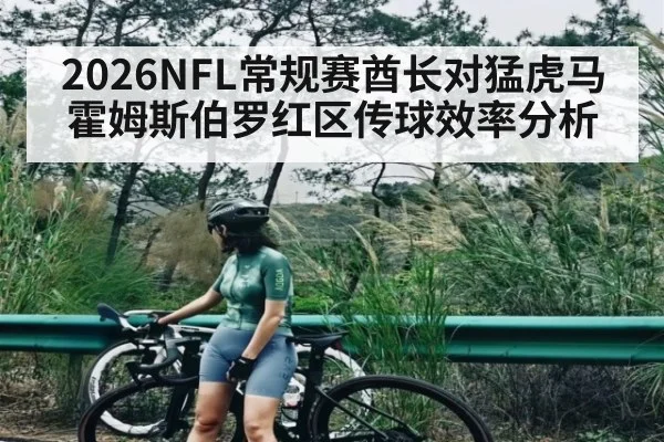 2026NFL常规赛酋长对猛虎马霍姆斯伯罗红区传球效率分析